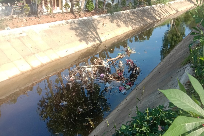 Warga Tejosari Harap Solusi Terkait Bangkai Pohon Tumbang di Saluran Irigasi 03