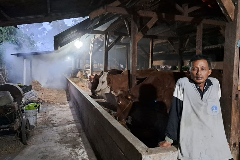 Dapat Sosialisasi PMK, Kuswahyudi Tingkatkan Kebersihan Kandang Sapi Dapat Sosialisasi PMK, Kuswahyudi Tingkatkan Kebersihan Kandang Sapi