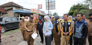 Wagub Lampung Tinjau Perbaikan Jalan Strategis Ambarawa-Pardasuka